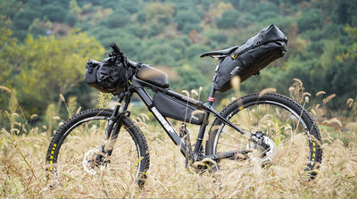 Transporte bicicleta plegable con ruedas: Rhinowalk RK22 – DOPE WALIO
