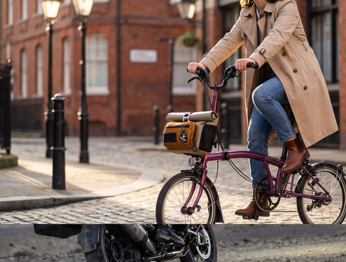 <h1>Cosmopolis Series</h1>