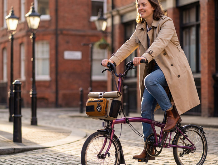 <h1>Cosmopolis Series</h1>