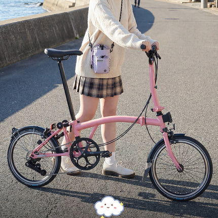 Cosmopolis 1L bike bottle bag for city rides and off-bike carry